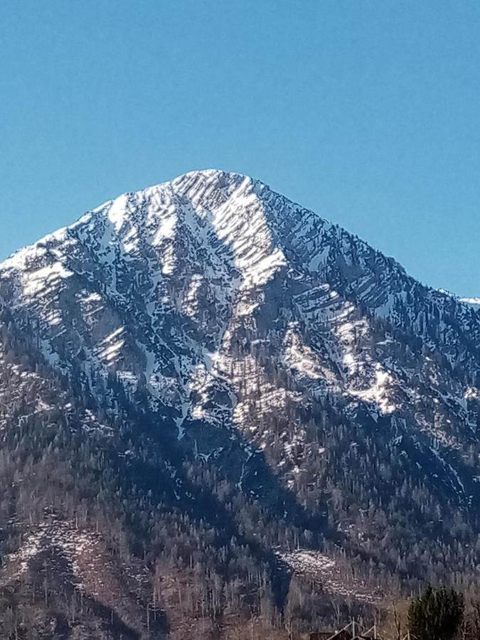 Ausseer Kleeblatt Bad Aussee Buitenkant foto