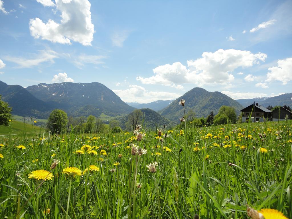 Ausseer Kleeblatt Bad Aussee Buitenkant foto